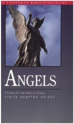 FBSG Angels (Fisherman Bible Study Guide)