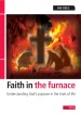 More information on Faith In The Furnace