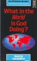 More information on What In The World Is God Doing?