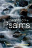 More information on Insights of the Psalms