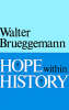 More information on Hope Within History