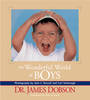 More information on Wonderful World Of Boys, The