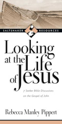 More information on Looking at the Life of Jesus (Saltshaker Resources)