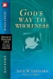 More information on God's Way to Wholeness (Spirit-Filled Life Study Guide)