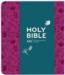 Niv Journalling Bible soft tone with clasp