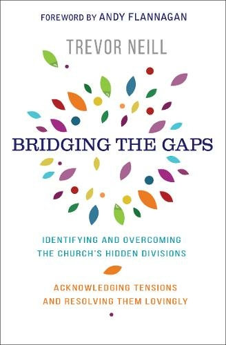 More information on Bridging The Gaps