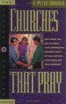 More information on Churches That Pray