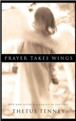 Prayer Takes Wings : How God Sends His Angels As You Pray