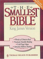 AV Smallest Bible - Burgundy
