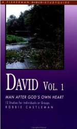 Fbsg/ David: Man After God Vol 1