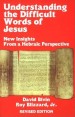 More information on Understanding The Difficult Words Of Jesus