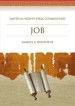 More information on Job: Smyth and Helwys Bible Commentary