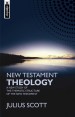 More information on New Testament Theology