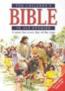 More information on The Children's Bible in 365 Stories