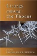 More information on Liturgy among the Thorns