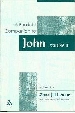 More information on Feminist Companion to John Volume 2