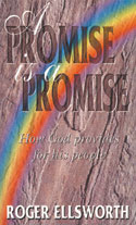 More information on Promise Is A Promise : How God Provides For His People