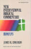 Romans (New International Bible Commentary)