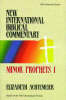 More information on Minor Prophets Vol 1 (New International Bible Commentary)