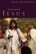 More information on Great Lives: Jesus Bible Companion