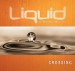 More information on Liquid: Crossing Participant's Guide