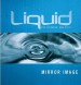 More information on Liquid: Mirror Image Participant's Guide