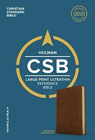 More information on CSB Christian Standard Bible Large Print Ultrathin Reference Tan Leathertouch