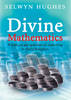 More information on Divine Mathematics: A Biblical Perspective on Giving